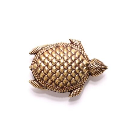 Hebilla Tortuga Plana
