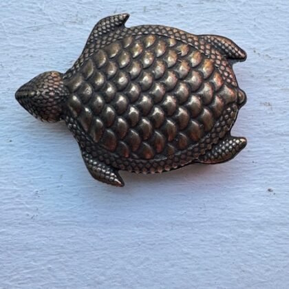 Hebilla Tortuga Plana